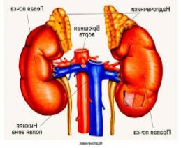 C:\Users\4\Pictures\Без названия (38).jpg